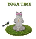 Cat ashen on round green mat doing yoga