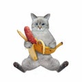 Cat ashen sits with banana sausage