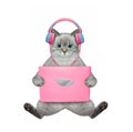Cat ashen sits and works with pink laptop Royalty Free Stock Photo