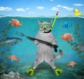 Cat ashen with speargun on seabed Royalty Free Stock Photo