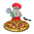 Cat ashen with special knife near pizza Royalty Free Stock Photo