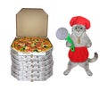 Cat ashen with special knife near pizza boxes Royalty Free Stock Photo