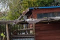 Cat asleep on a shed Royalty Free Stock Photo