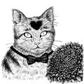Cat with aster flower hand drawn.