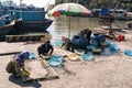 Cat Ba island, Vietnam, fish drying on nets Ha long Bay Vietnam