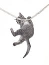 Cat baby hanging on rope Royalty Free Stock Photo