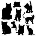 Cat Baby Kittens Silhouettes Royalty Free Stock Photo