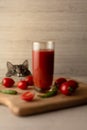 The cat in the background looks at a glass of tomato juice. Selective focus, shallow depth of field. Studio shot Royalty Free Stock Photo