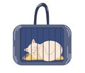 Cat in the bag. Transportation of animals. Cute cat sitting in a travel bag. The concept of traveling with animals. Hand draw