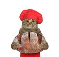 Cat baker holds loaf of rye bread Royalty Free Stock Photo
