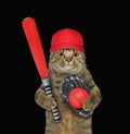 Cat baseball player holds red bat 2 Royalty Free Stock Photo