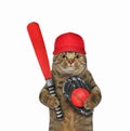 Cat baseball player holds red bat Royalty Free Stock Photo
