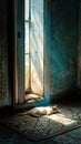 cat basks in Sunbeam Through Doorway on Rug, a Moment of Serenity Theme Royalty Free Stock Photo