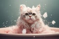 cat in bathroom. Bathing process, frightened wet cat, hygiene procedures. Pet care