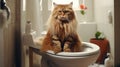 cat in bathroom, quirky toilet antics Royalty Free Stock Photo