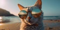 Cat in beautiful glasses smiles, sunglasses on the sand on the background of the ocean Generative AI