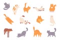 Cat behavior. Feline poses, cartoon cats characters funny emotions, afraid orange kitten scared animal pet cautiously Royalty Free Stock Photo