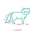 Cat Behavior Icon