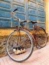 Cat behind a rusty antique bicycle in the streets of Essaouira in Morocco
