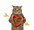 Cat beige holds heart sausage 2 Royalty Free Stock Photo