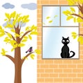 Cat and bird in autumn