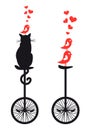 Cat and birds on bicycle, vector Royalty Free Stock Photo