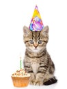 Cat in birthday hat and cake looking at camera. isolated on white Royalty Free Stock Photo