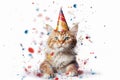 Cat with birthday hat and confetti on white background. Royalty Free Stock Photo