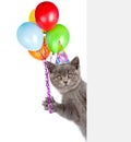 Cat in birthday hat holding balloons peeking from behind empty board. isolated on white background Royalty Free Stock Photo