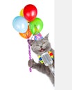 Cat in birthday hat holds retro microphone with balloons. isolated on white background Royalty Free Stock Photo