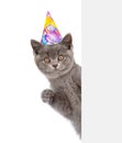 Cat in birthday hat looking out because of the poster. isolated on white background Royalty Free Stock Photo