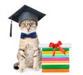 Cat with black graduation hat sitting near books with diploma. isolated on white background Royalty Free Stock Photo