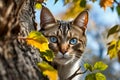 Cat with blue eyes peers out from behind tree. Generative AI Royalty Free Stock Photo