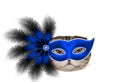 Cat in a blue mask with feathers on white background Royalty Free Stock Photo