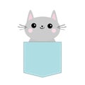 Cat in blue pocket. Cute cartoon character. Gray kitten Smiling kitty. Dash line. Pet animal collection. T-shirt baby design. Whit Royalty Free Stock Photo