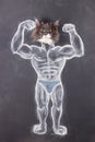 Cat bodybuilder. Front view of close-up of strong and bold superhero.