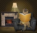 Cat with a book near a fireplace