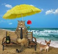 Cat drinks wine on the beach Royalty Free Stock Photo