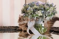 Cat and the bouquet of flowers in a vase Royalty Free Stock Photo