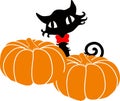 Cat with a bow tie behind a pumpkin. Vector