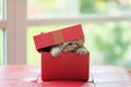 Cat in the box Royalty Free Stock Photo