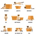 Cat and box set. Learning preposition concept. Animal above Royalty Free Stock Photo