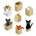 Cat in box set. Pet in cardboard box. vector illustration