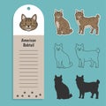 cat breed american bobtail. Set of stickers, silhouettes and contour line doodle vector illustrations pedigree pet