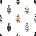 Cat Breed Ball of cat Seamless Pattern vector kitten isolated wallpaper background