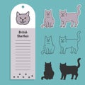 cat breed british shorthair. Set of stickers, silhouettes and contour line doodle vector illustrations pedigree pet Royalty Free Stock Photo