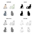 Cat breed Briton, Siamese, Nibelung, Chartreus. Different breeds of cat set collection icons in cartoon black monochrome