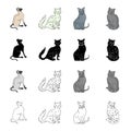 Cat breed Briton, Siamese, Nibelung, Chartreus. Different breeds of cat set collection icons in cartoon black monochrome Royalty Free Stock Photo