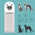 cat breed cornish rex. Set of stickers, silhouettes and contour line doodle vector illustrations pedigree pet. Design Royalty Free Stock Photo