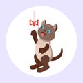 Cat breed cute kitten brown pet portrait fluffy young adorable cartoon animal and pretty fun play feline sitting mammal